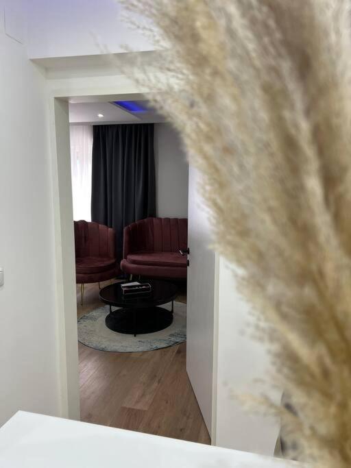 Traum Wohnung Mit Kingsize-Bett Graz Exterior photo